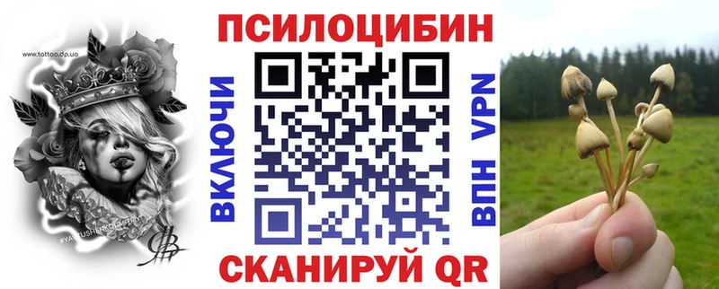 Галлюциногенные грибы Psilocybe  где купить наркотик  Бугульма 